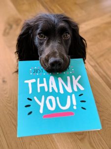 A dog holding a thank you card